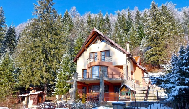 Casa Olandeza in Timisul de Jos