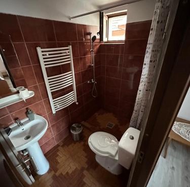 Casa Tradițională Cârtisoara in Cartisoara