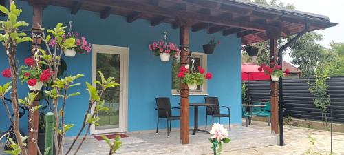 casaAdy in Humulesti