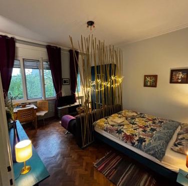 Central studio in Timisoara