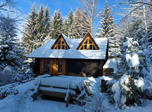 Chalet Bellevue Rogla in Zrece