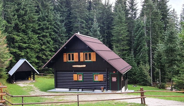 Chalet Trzinka Slovenia in Zgornje Gorje