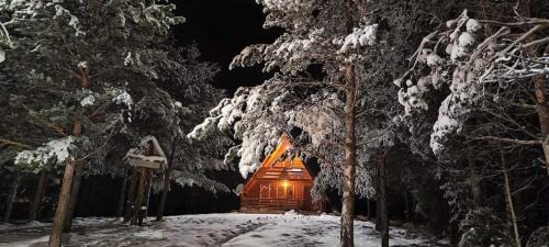 Chalet with outdoor jacuzzi near Sarajevo in Pale