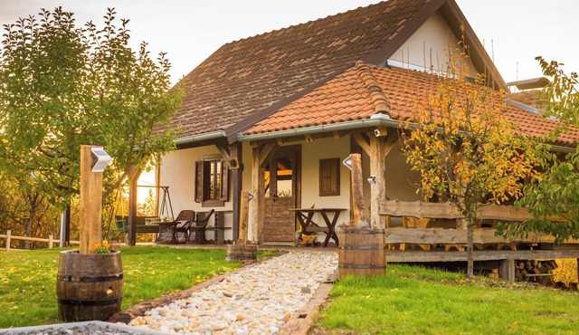 Charming home with terrace and BBQ in peaceful Slavonian countryside. in Bartolovci