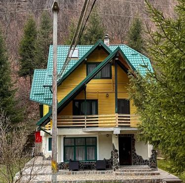 Cheile Valsanului in Bradulet