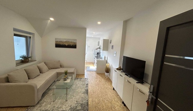 City Modern and Vibrant Apartments Ljubljana - Standard One Bedroom Apartment in Ljubljana