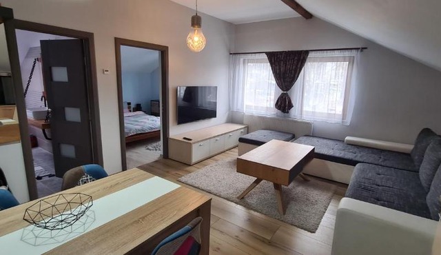 Comfort Home Studio in Petroşani