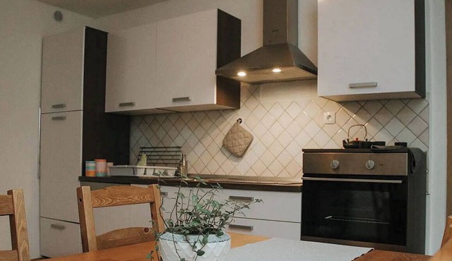 Comfortable one-bedroom apartment in Drežnica near Kobarid, featuring a fully equipped kitchen, free WiFi, air conditioning, and beautiful mountain surroundings. in Kobarid