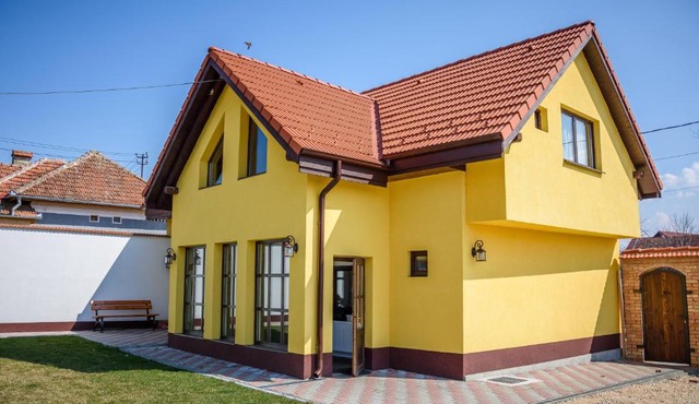 Conacul lui Radu in Vistea de Jos