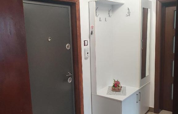 Cosy Apartment in Nehoiu