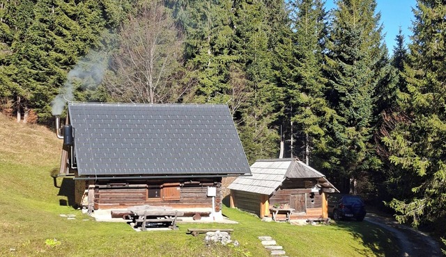 Cottage - Bohinj, Pokljuka in 4247 Zgornje Gorje