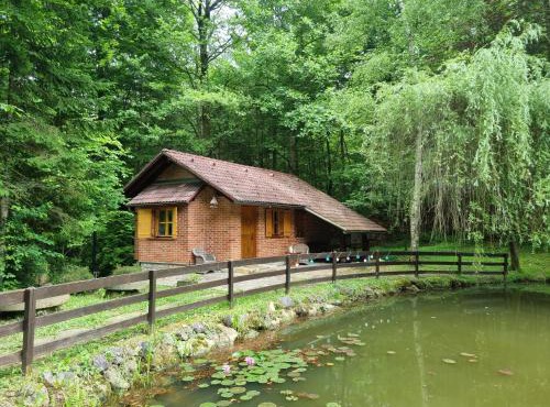 Cottage by the pond Pavel in Smarje pri Jelsah