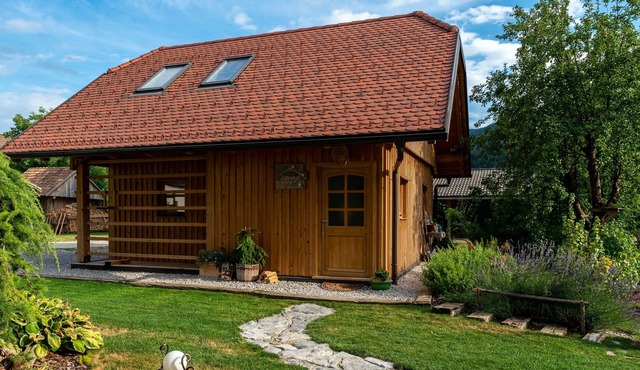 Cottage Happiness with Sauna and Natural Pool in Ribnica