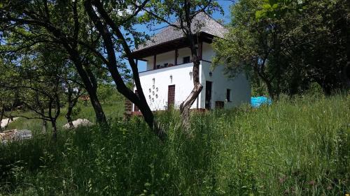 Cottage Poe in Poienari