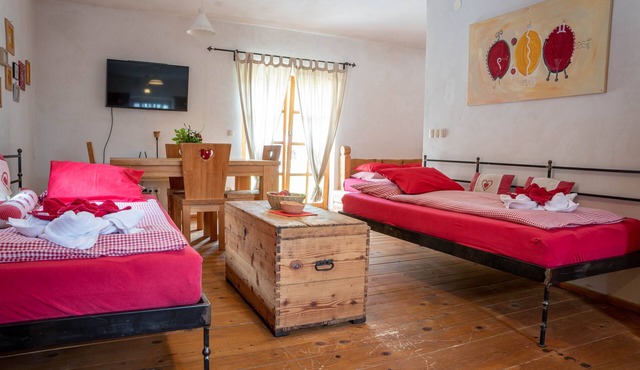 Country House Trata | Studio Apartment 4 | Terrace | Mountain View in Gozd Martuljek