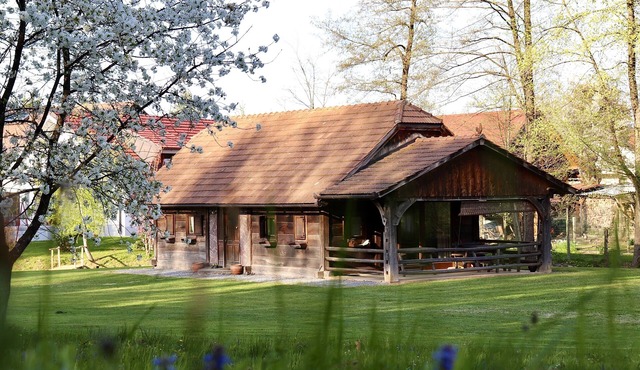 Cozy cottage in countryside near lake and lots of nature in Šentjernej