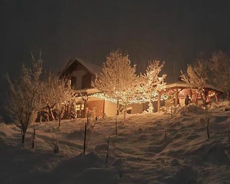Cuibul cu Trufe in Feldru