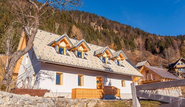 Dandelion House, Pokljuka, Lake Bohinj for up to 10 guests in Bohinj