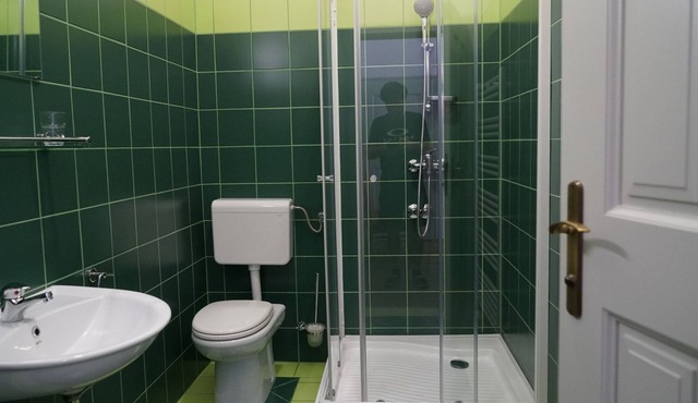 Deluxe One-Bedroom Apartment with Castle View in Cerknica