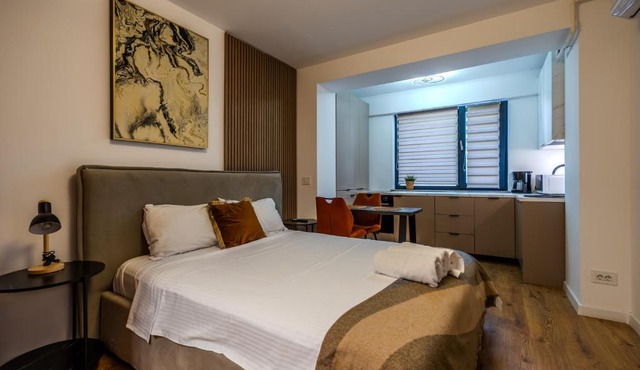 Designer Studio by Blvd 47B5 - Free Parking in Voluntari