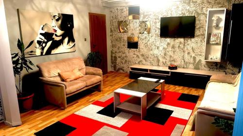 Dodi house in Timisoara