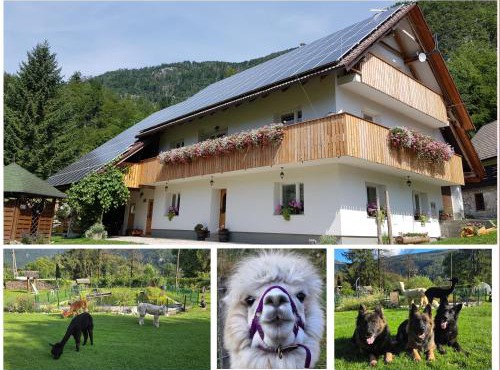 Domačija Loncnar in Bohinj