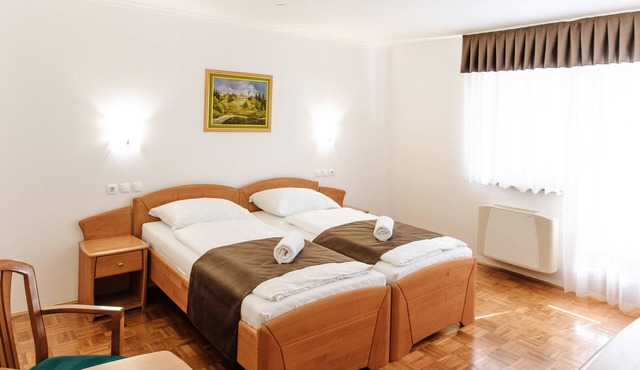 Double Room with Balcony 114 in Zrece
