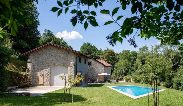 Estate "Villa Anton" with own pool in Podgrad