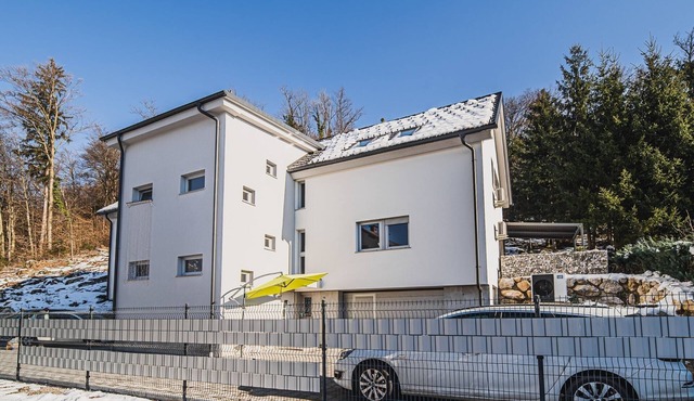 Family-Friendly Mountain Paradise Residences - Classic Two Bedroom Apartment with Terrace in Preddvor