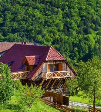 Farm Stay Pirc - Hayloft Apartment in Lasko