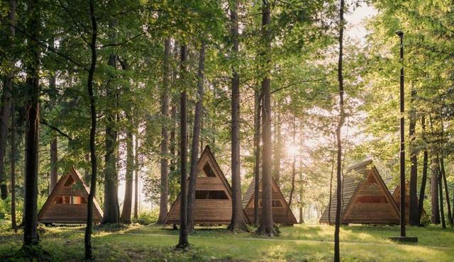 Forest Camping Mozirje in Mozirje