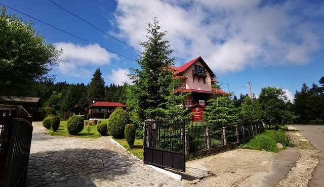 FOX VALLEY VILLA in Predeal