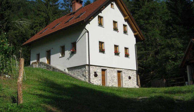 Geräumiges Ferienhaus inmitten der Natur by Interhome in Donja Trebusa