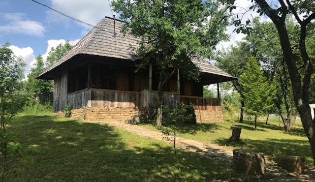 Granny's House in Moisei