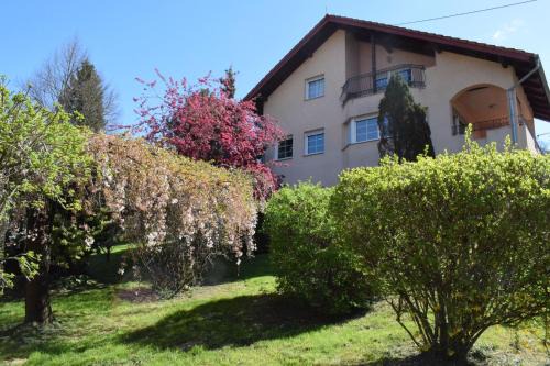Green Home