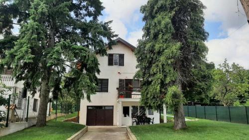 Green sanctuary 30 min from downtown Belgrade in Donja Ralja