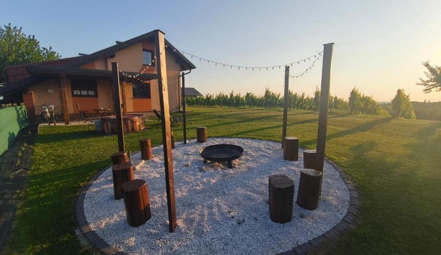 Guesthouse and Wellness VINEA in Spodnji Ivanjci