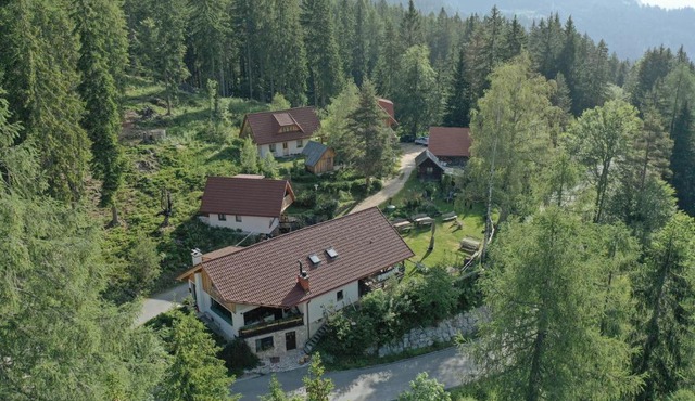 Guesthouse Planinski Dom Majerhold in Solčava