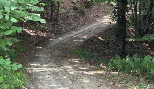 Haus im Wald in Smarje pri Jelsah