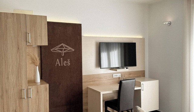 Hiša Aleš in Kranj