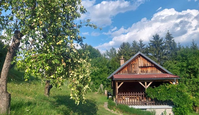 Hiška ob gozdu in Polzela