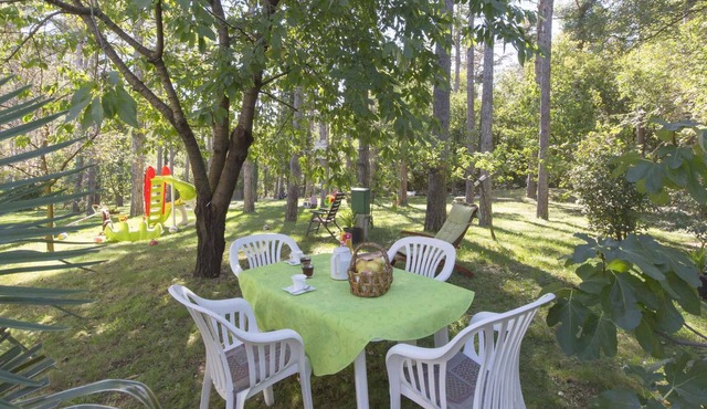 Holiday apartment with 3 bathrooms, barbecue and children's playground in Vozilici