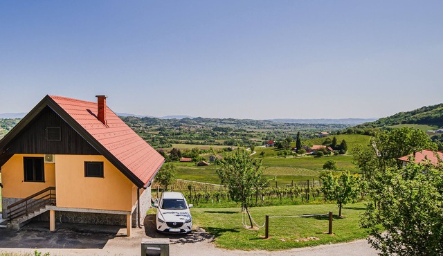Holiday Home Vinea with Bizeljsko wineyards view in Bizeljsko