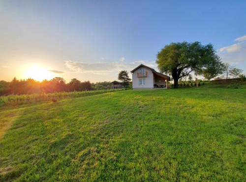 Holiday home Vinovilla