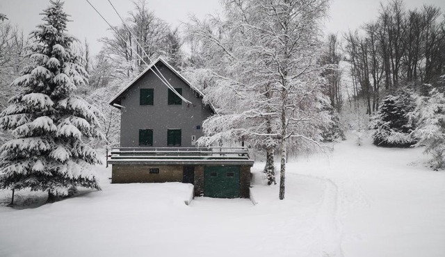 Holiday home with hot tub Fuzine, Gorski kotar - 20518