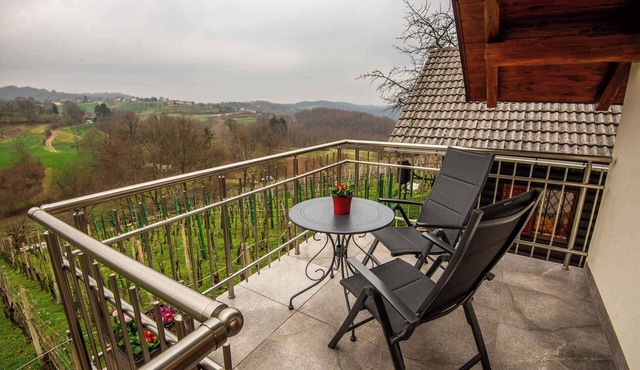 Holiday home with terrace in Novo Mesto
