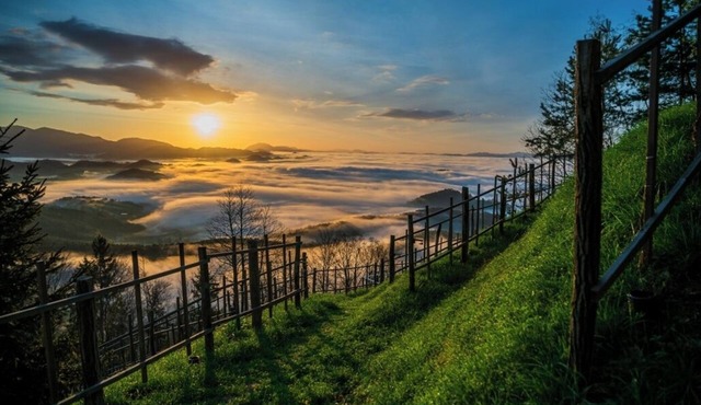Holiday house for up to 6 guests-Posest Kunigunda with a magical view in Celje