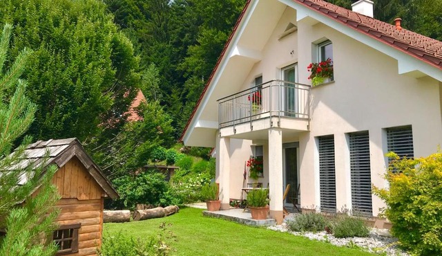 HomeSlovenia - your Home in the Heart of Slovenia in Zelezniki