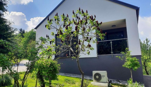 House Under The Maple Tree in Vitanje