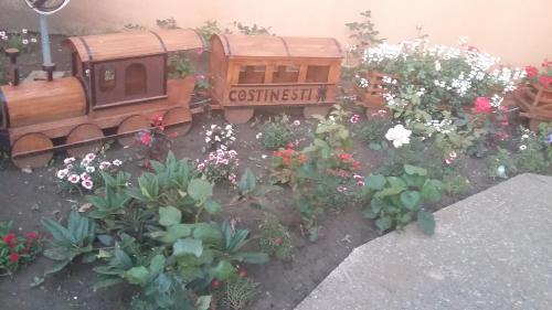 Ionela in Costinesti